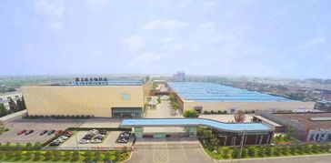 隆力奇 堅(jiān)守大健康產(chǎn)業(yè)，以網(wǎng)絡(luò)科技賦能民族品牌振興之路